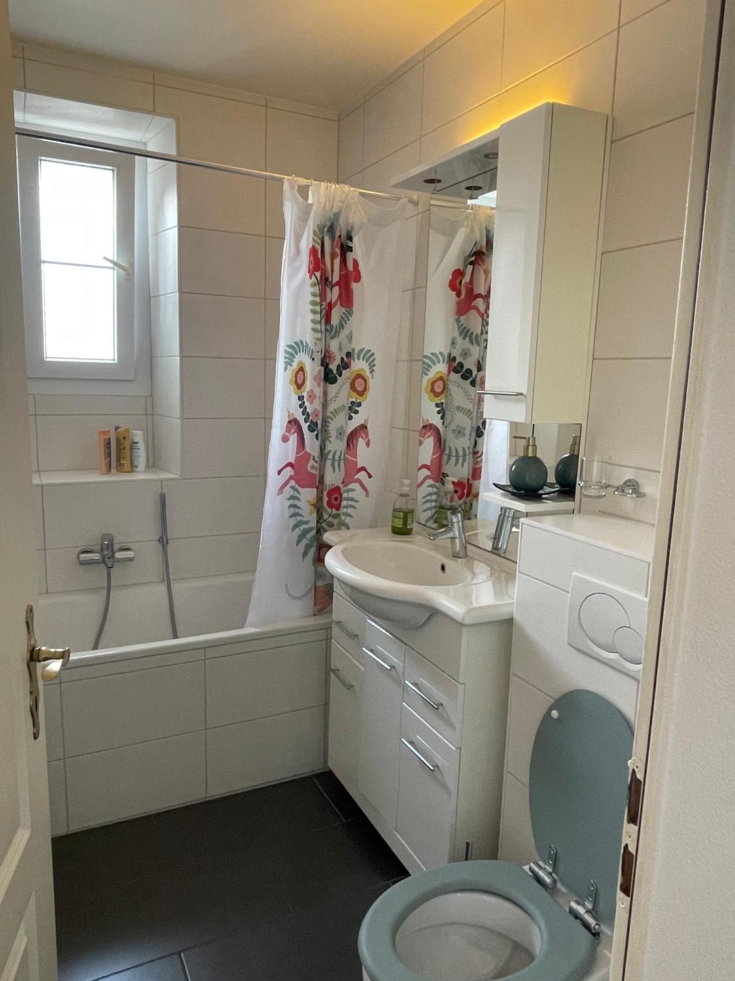 לייסין Charmant Appartement Au Vagabond מראה חיצוני תמונה